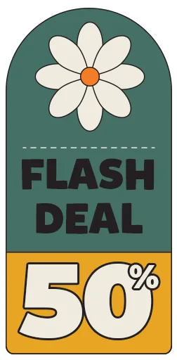 flash sale